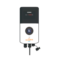 Dozirna črpalka RX - Easy Chem Uno z vtičnico za elektrolizo s senzorji Rx (klor) Dozirna črpalka RX - Easy Chem Uno z vtičnico za elektrolizo s senzorji Rx (klor)
